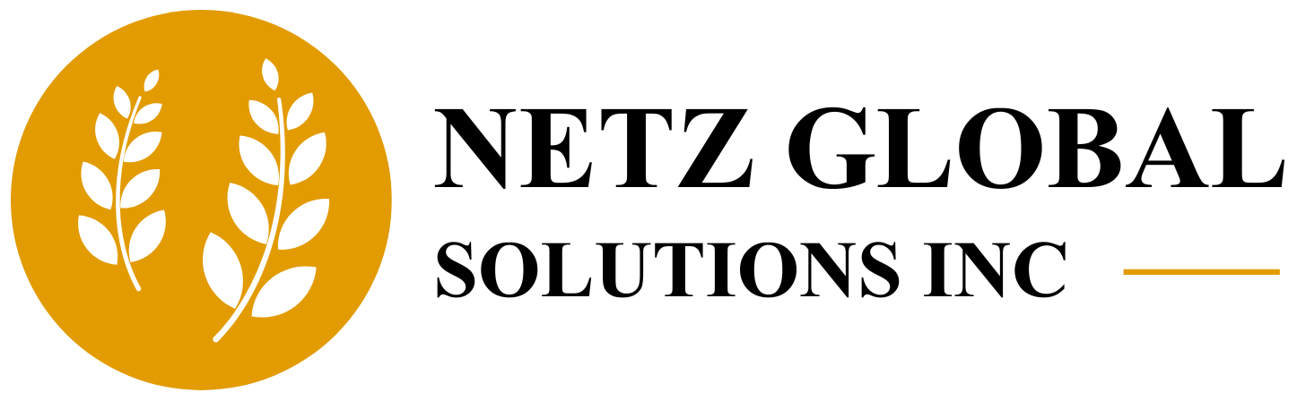 Netz Global Logo Black